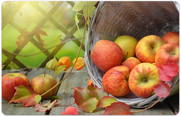 apples