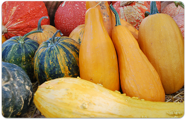 Gourds