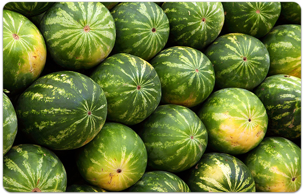 Image of watermelons