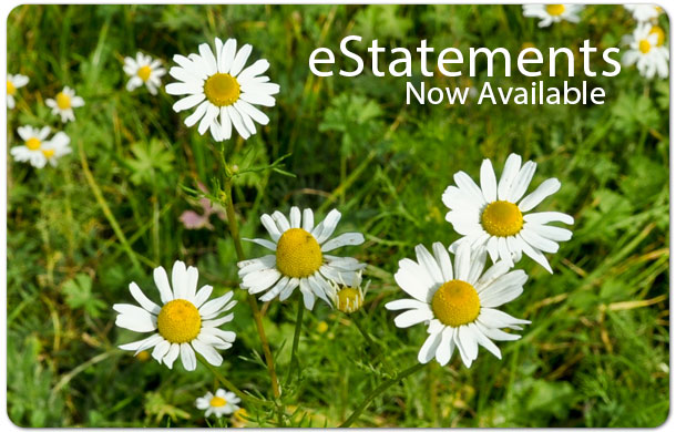 Ask us how to get signed up for E-Statements!